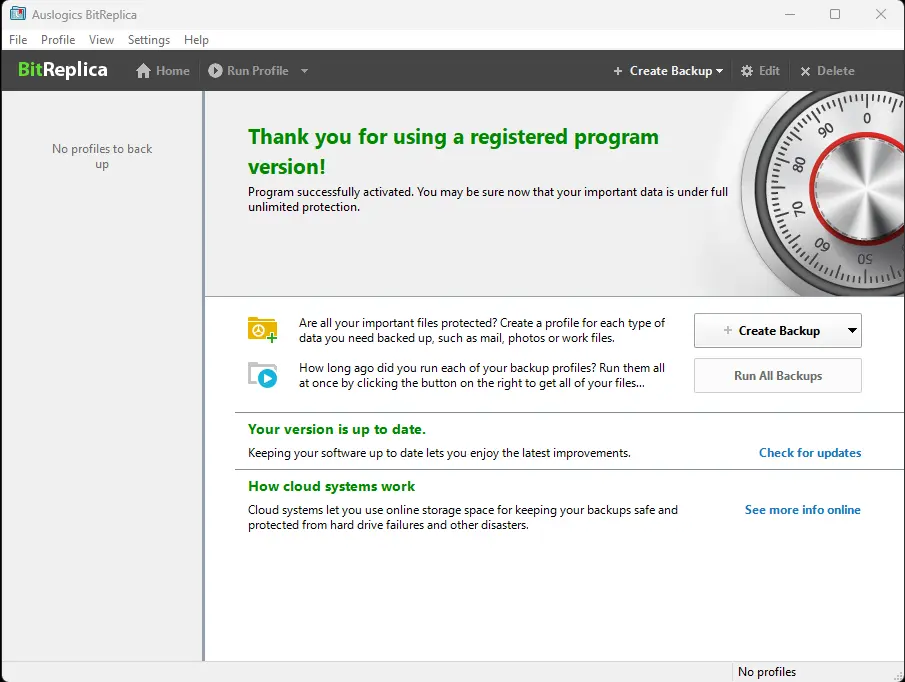 Auslogics BitReplica Screenshot 1