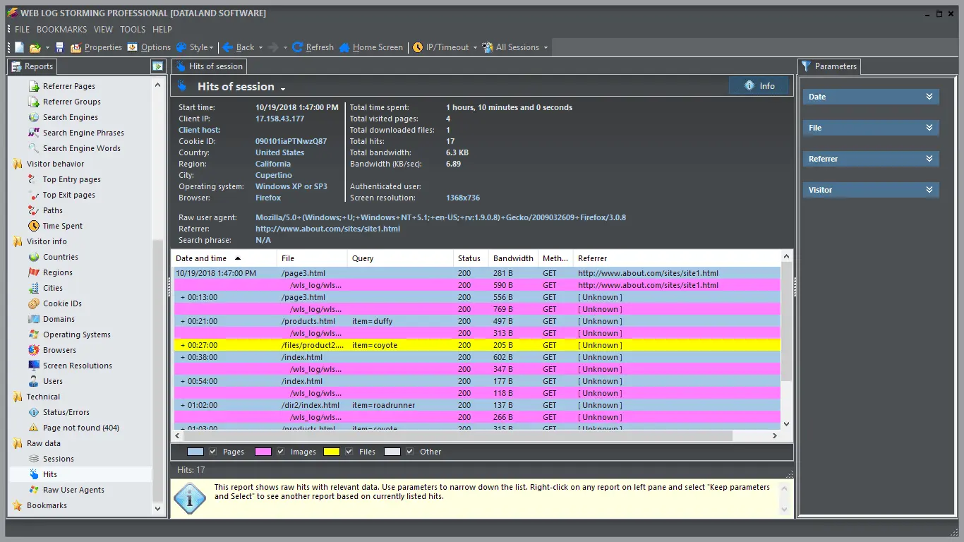 Dataland Web Log Storming Screenshot 2