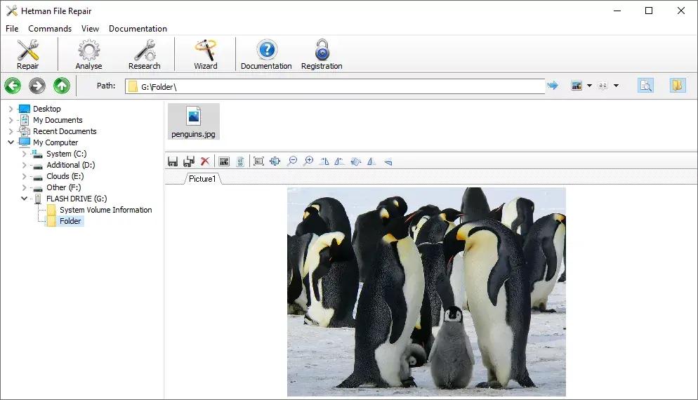 Hetman File Repair Screenshot 1