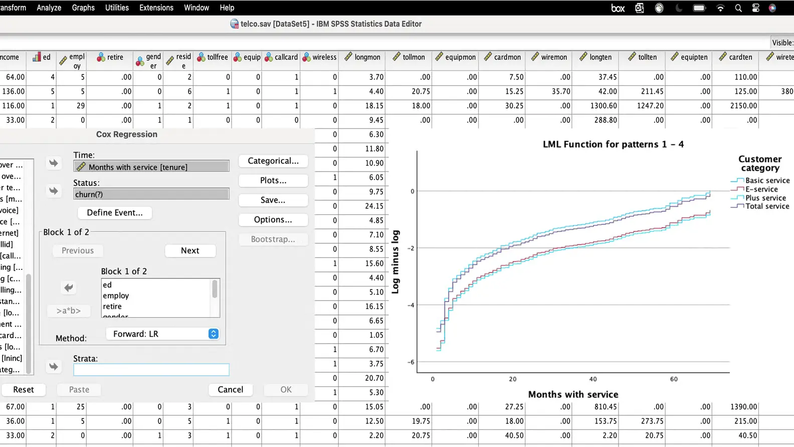 IBM SPSS Statistics Screenshot 2