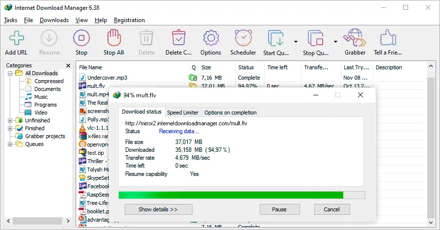 Internet Download Manager Screenshot 1