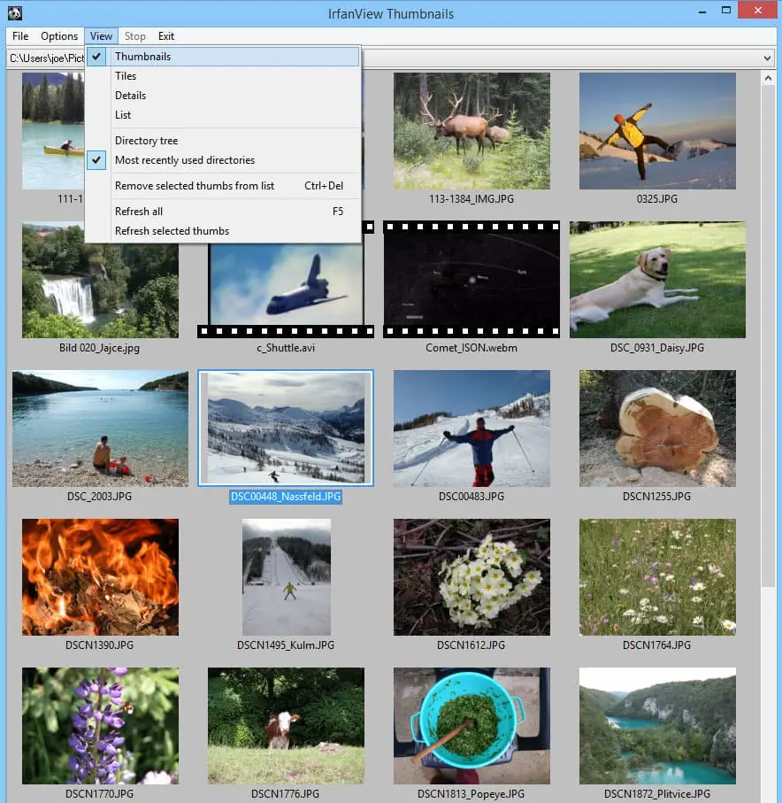 IrfanView Screenshot 2