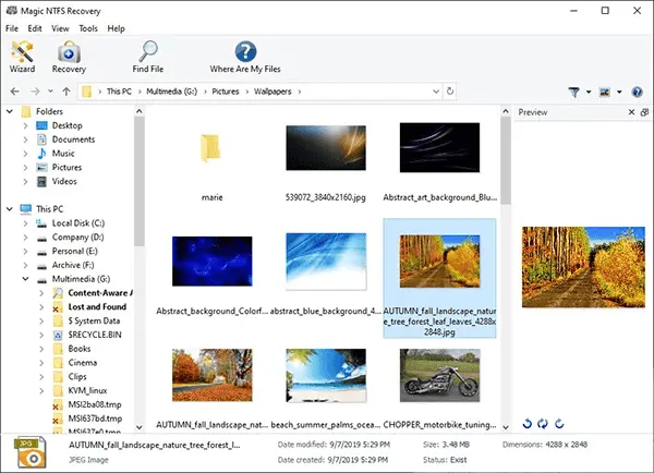 Magic NTFS Recovery Screenshot 2