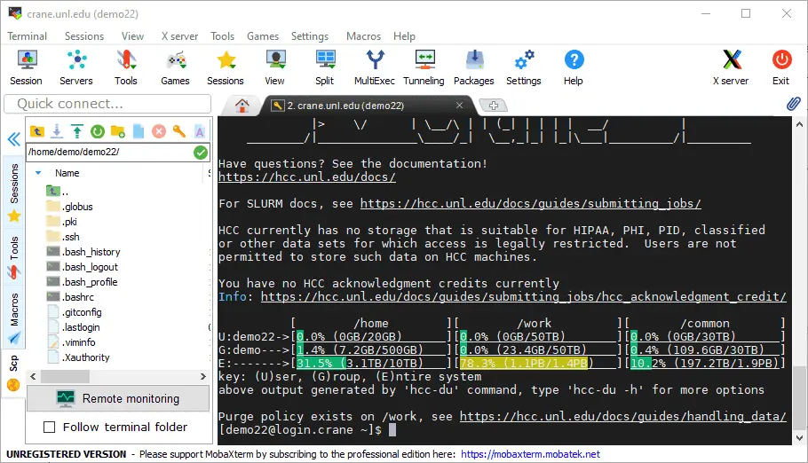 MobaXterm Screenshot 2