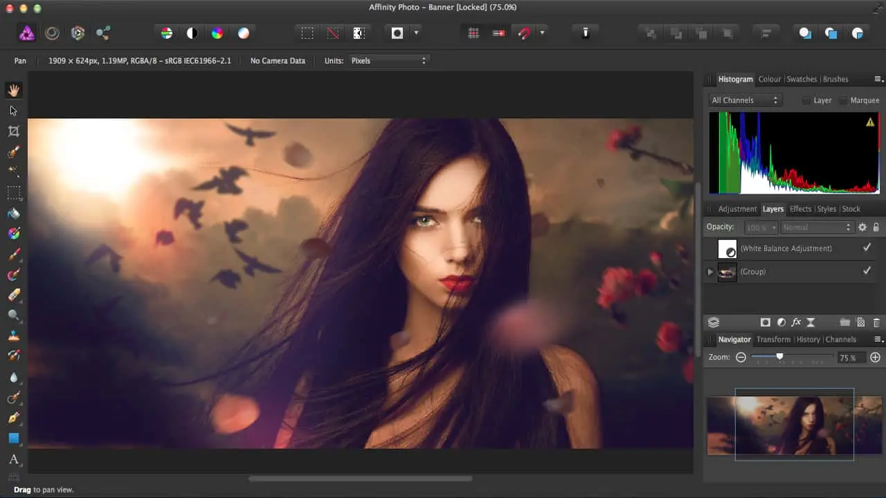 Serif Affinity Photo Screenshot 2