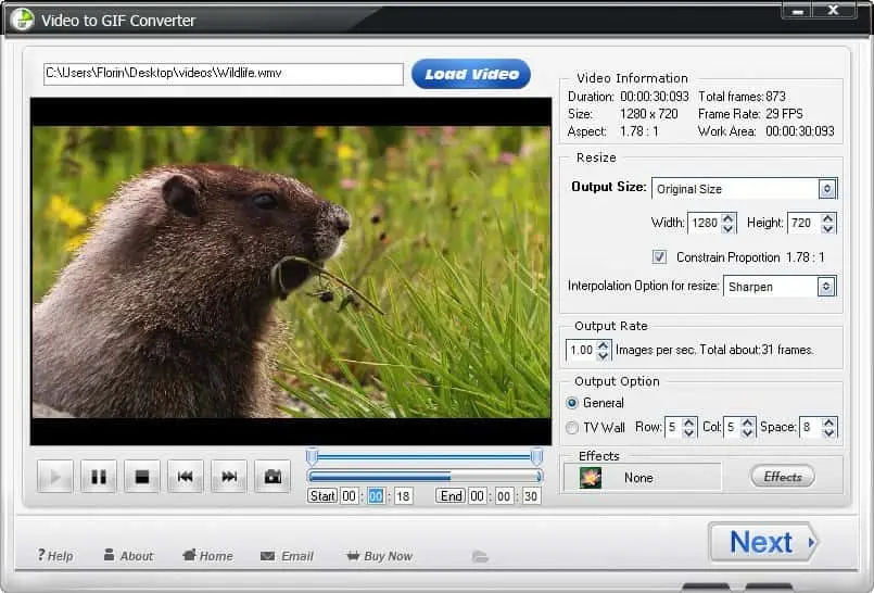 Wonderfox Video To GIF Screenshot 1