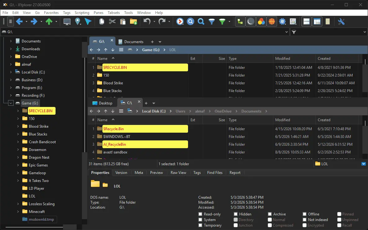 XYplorer Screenshot 2